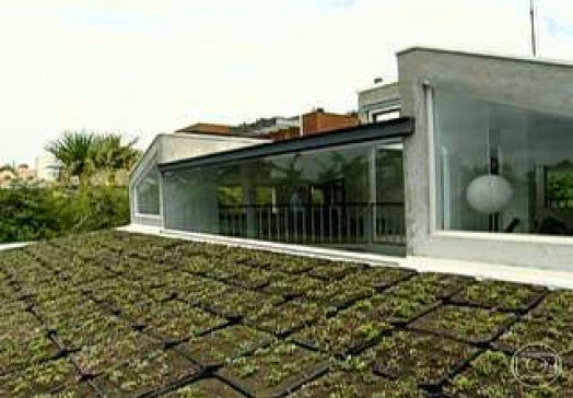 Empresas adotam o conceito do telhado verde em suas construes